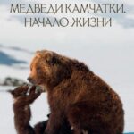 Медведи Камчатки. Начало Жизни Постер